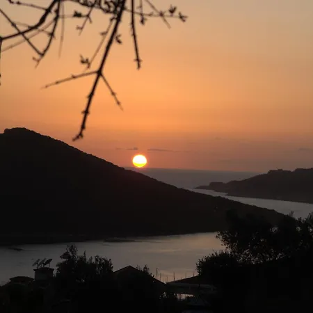 Apex Apart Apartment *