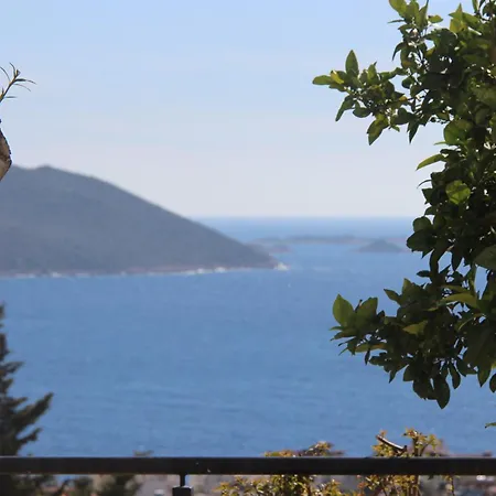 Apartment Apex Apart