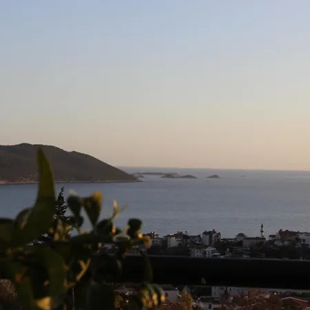 Apex Apart Apartment *