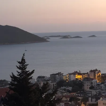 Apex Apart Апартаменты