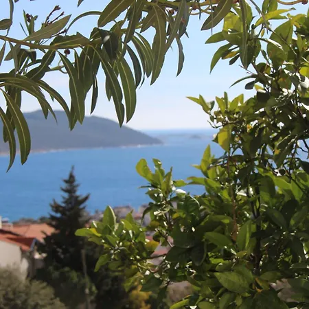 Апартаменты Apex Apart