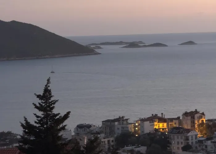 Apex Apart Lägenhet