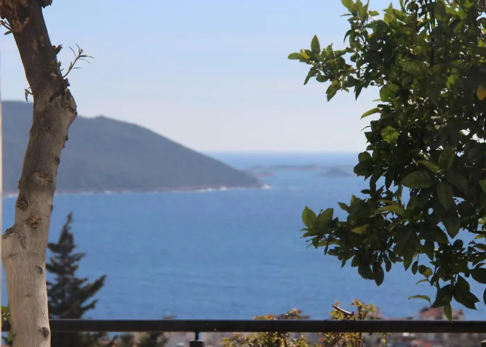 Lägenhet Apex Apart