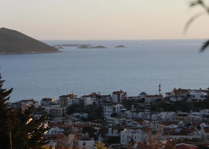 Lägenhet Apex Apart