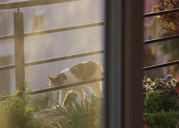 Daire Apex Apart Kaş